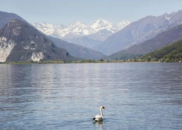 In Near Maggiore * 베르바니아